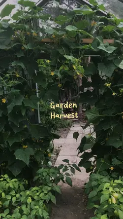 Garden Harvest