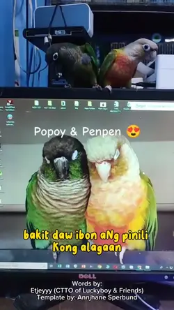 Parrot Freeflight