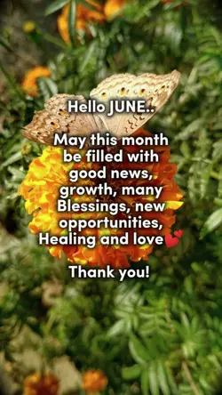 HELLO JUNE