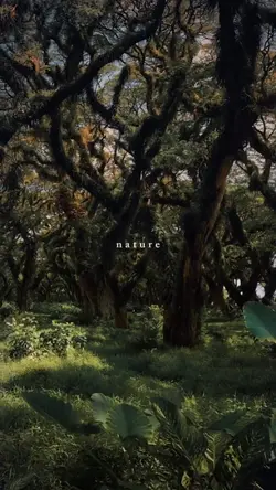 nature