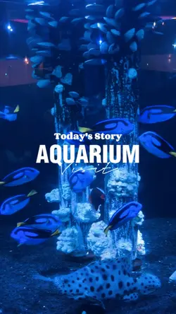 Aquarium day