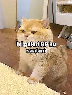 isi galeri ku  