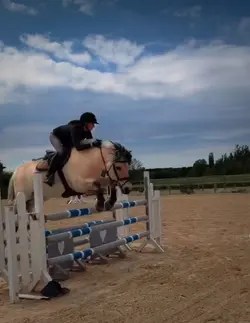 Fjord jumping