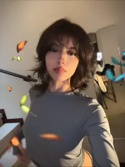 butterflies