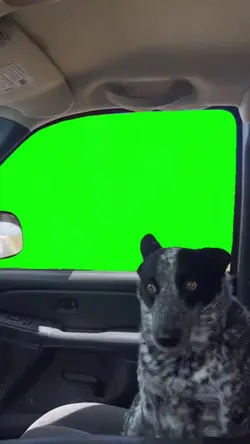 green screen