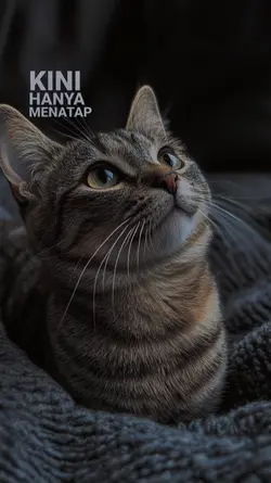 Terlalu rindu 