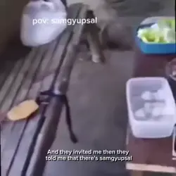 Samgyupsal.jpeg