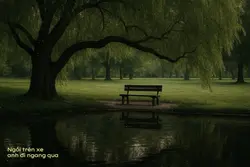 Đôi khi 🎵