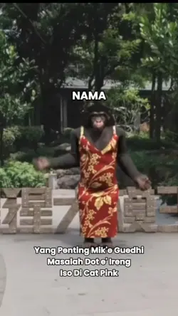 Monyet Joget