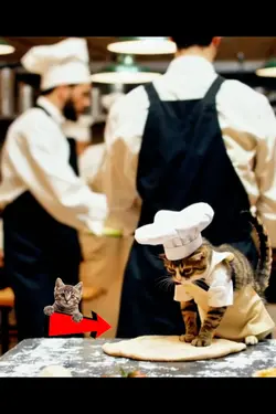 PizzAI Cat