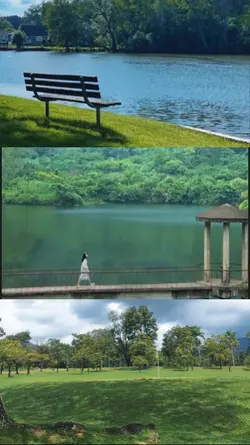 1 video 2 foto