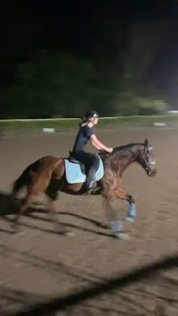 Speedy boy! 🤩 