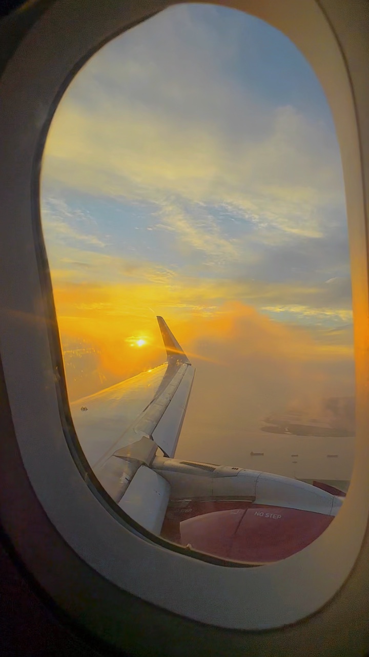 Travel Intro Plane Pippit