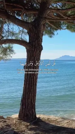 Al-Mu'minun 84-89