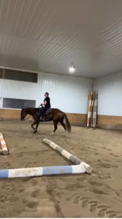 s+l.eq online show