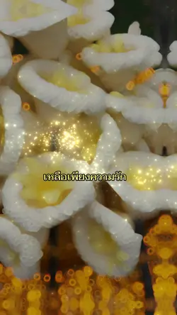 เหลือเพียงความรัก 