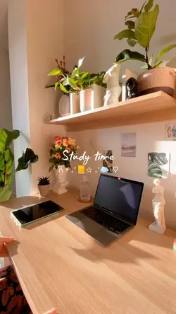 Study time