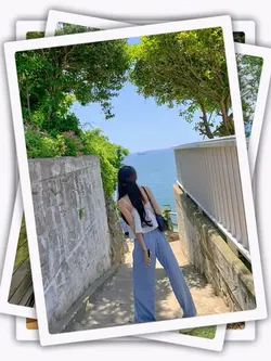 6Pic Clip Transition