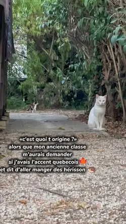 origine 