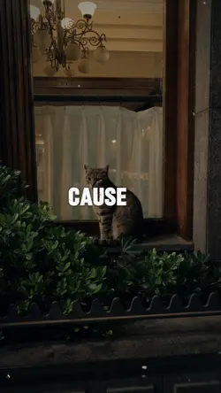 cause in the end 