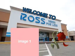 welcome 2 ross!