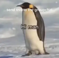 Send this to the GC 