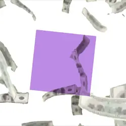 Money talks