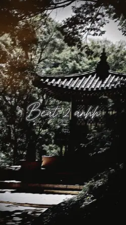 BEAT 2 ẢNH 