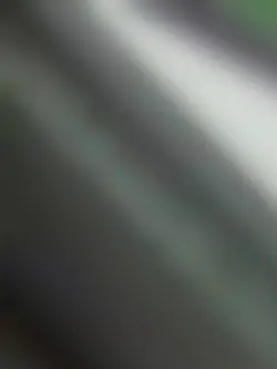 Slow Flow