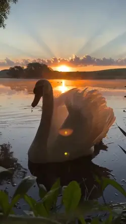 sunset aesthetic 