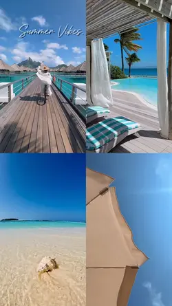 summer vibes