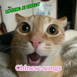 Chinese Song Lipsync