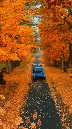 Autumn story