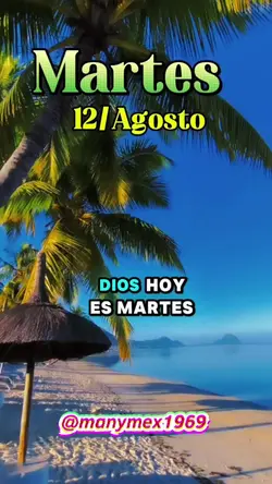 Martes 12 de Agosto