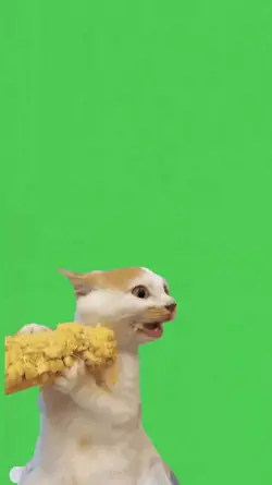 festa Junina