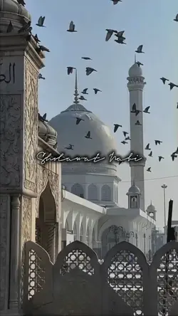 sholawat 