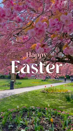Happy Easter 
