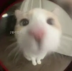 편태기