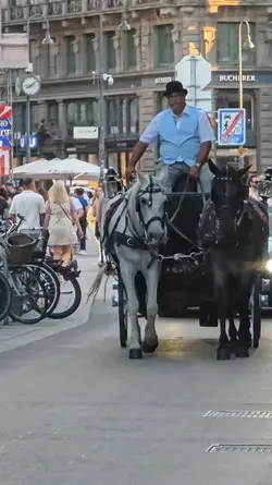 Vienna
