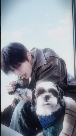 한여름 밤에 꿀