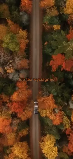 Król lew