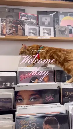 welcome may