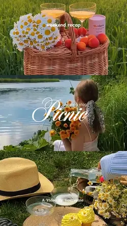 Mini vlog Picnic 