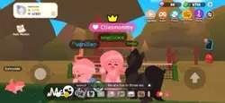 cookie minnie
