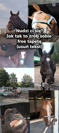 Free tapeta