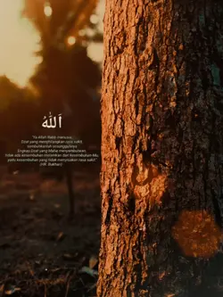 Bismillah 