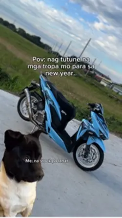 1 photo motorcycle
