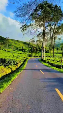 6 video roadtrip