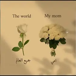My Mom امي