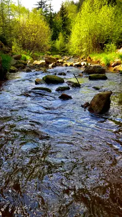 Nature edit 🌲🌿